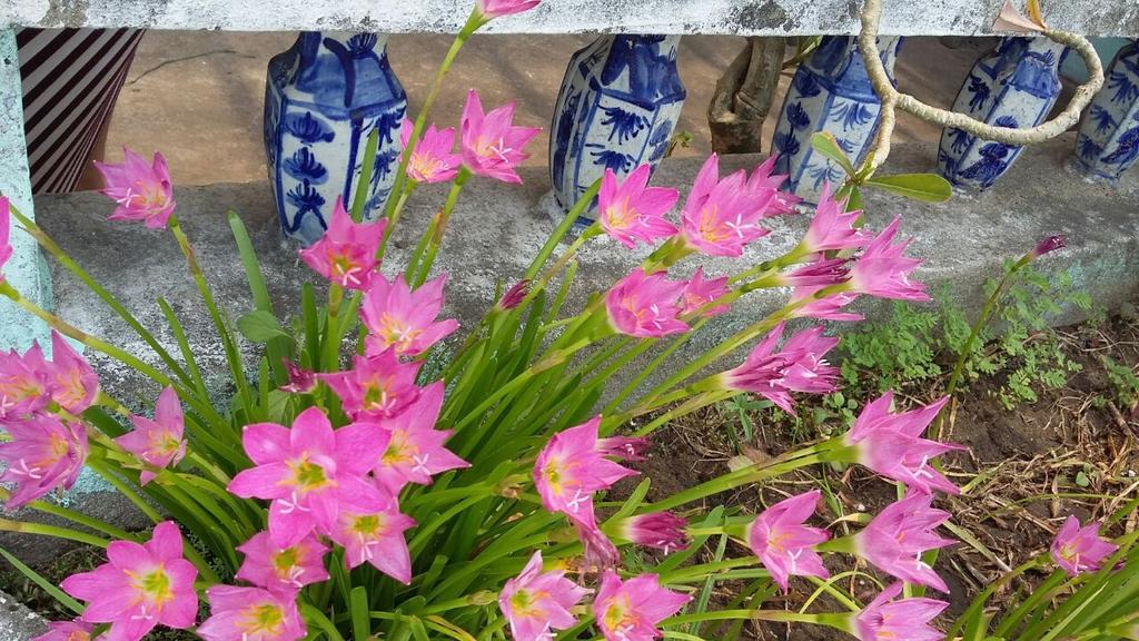 הוי אן Center Homestay מראה חיצוני תמונה